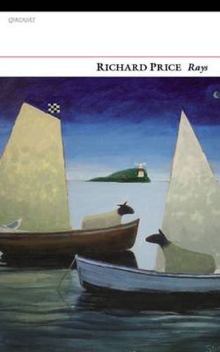 Cover image for Rays