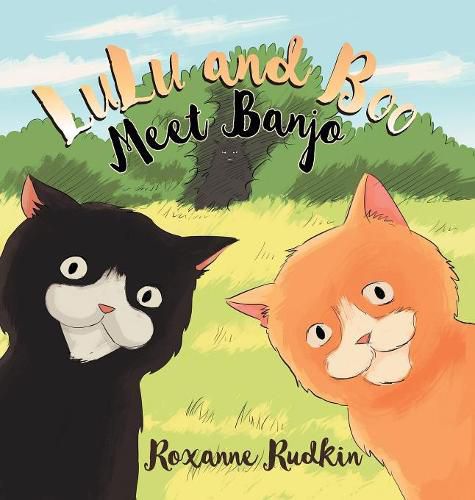 Cover image for LuLu and Boo Meet Banjo