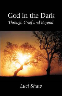 Cover image for God in the Dark: Through Grief and Beyond