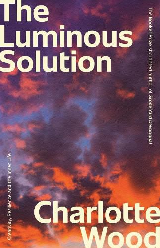 Cover image for The Luminous Solution
