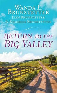 Cover image for The Return to the Big Valley