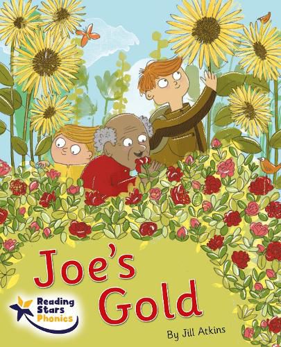 Cover image for Joe's Gold