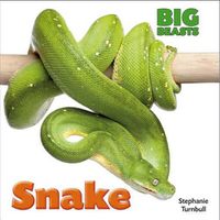 Cover image for Snake