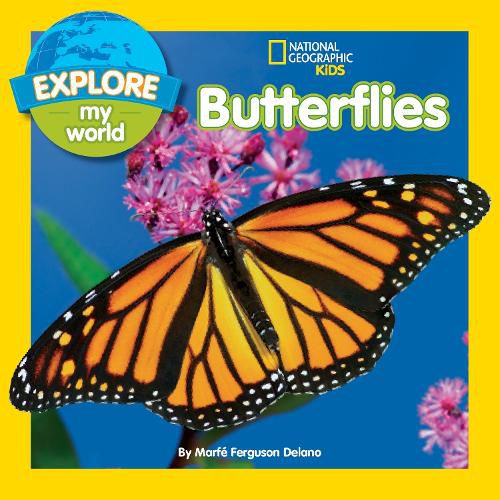 Cover image for Explore My World Butterflies