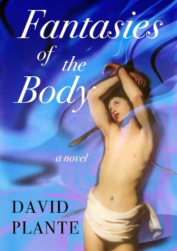 Cover image for Fantasies of the Body