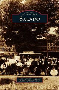 Cover image for Salado