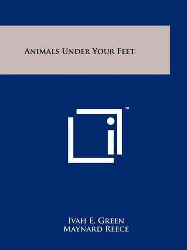 Cover image for Animals Under Your Feet