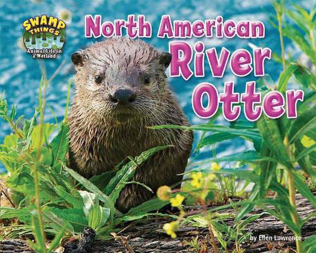 Cover image for North American River Otter