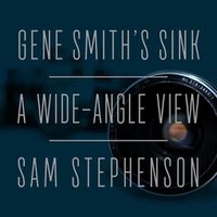 Cover image for Gene Smith's Sink: A Wide-Angle View