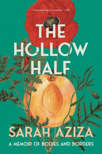 Cover image for The Hollow Half