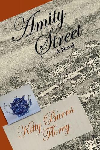 Cover image for Amity Street