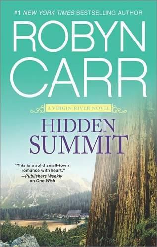 Cover image for Hidden Summit