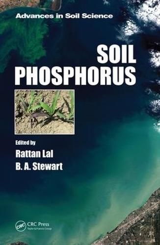 Cover image for Soil Phosphorus