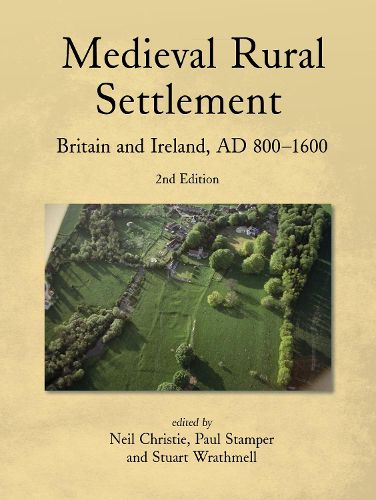 Cover image for Medieval Rural Settlement
