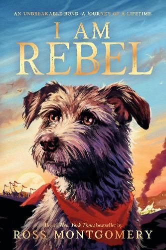 Cover image for I Am Rebel