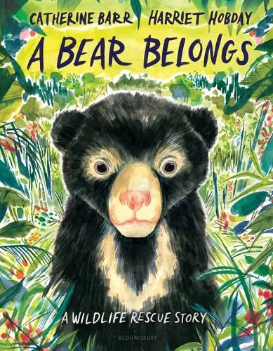 Cover image for A Bear Belongs