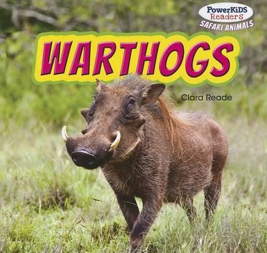 Cover image for Warthogs