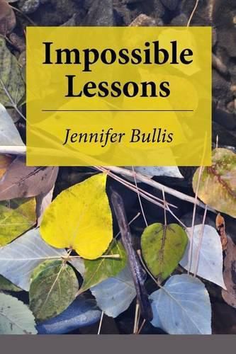 Cover image for Impossible Lessons