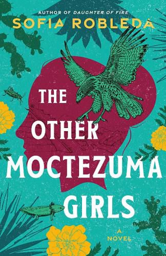 Cover image for The Other Moctezuma Girls