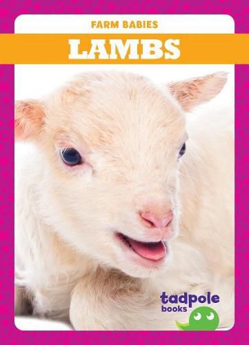 Cover image for Lambs