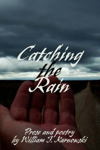 Cover image for Catching the Rain