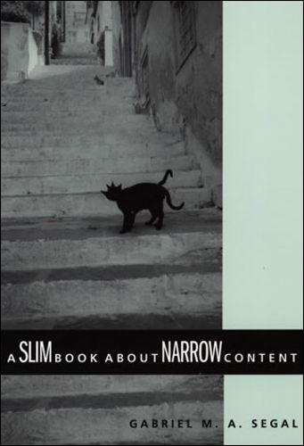 Cover image for A Slim Book About Narrow Content