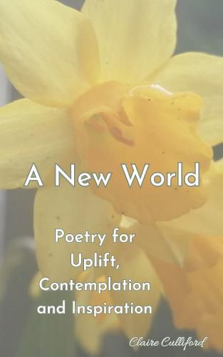 Cover image for A New World