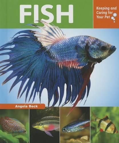 Cover image for Fish