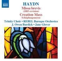 Cover image for Haydn Masses Vol 7