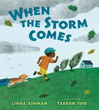 Cover image for When the Storm Comes