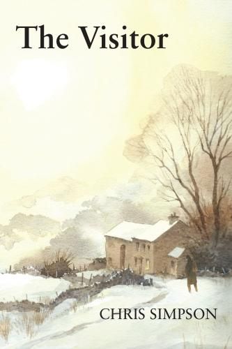 Cover image for The Visitor: A Christmas Story from the Yorkshire Dales