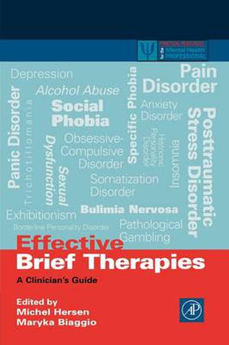 Cover image for Effective Brief Therapies: A Clinician's Guide