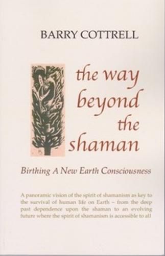 Cover image for The Way Beyond The Shaman: Birthing A New Earth Consciousness