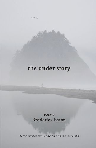 Cover image for The under story
