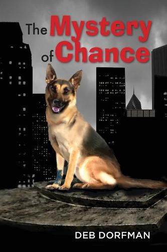 Cover image for The Mystery of Chance
