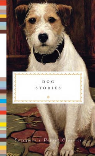 Cover image for Dog Stories