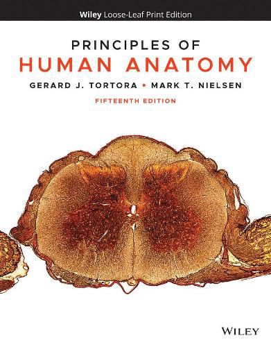 Principles of Human Anatomy