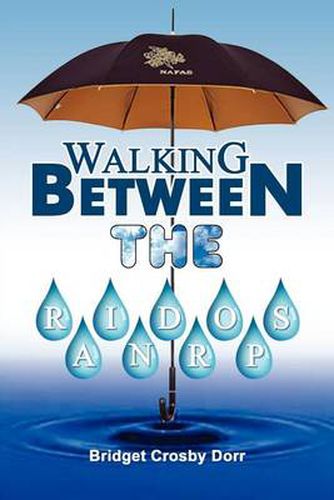 Cover image for Walking Between the Raindrops