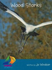 Cover image for Sails Fluency Turquoise: Wood Storks