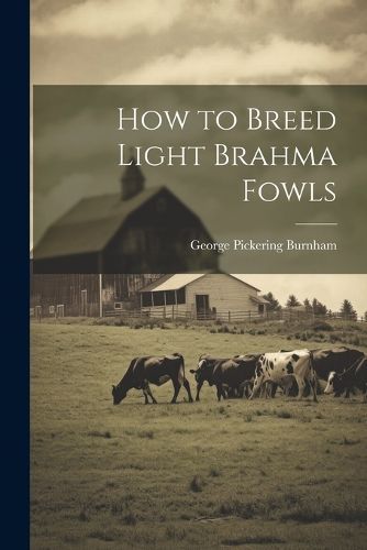 Cover image for How to Breed Light Brahma Fowls