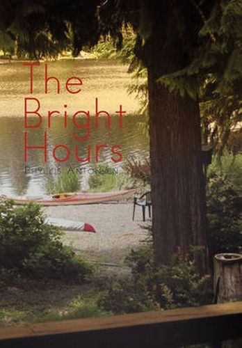 Cover image for The Bright Hours