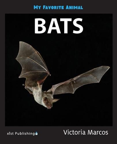 Cover image for My Favorite Animal: Bats