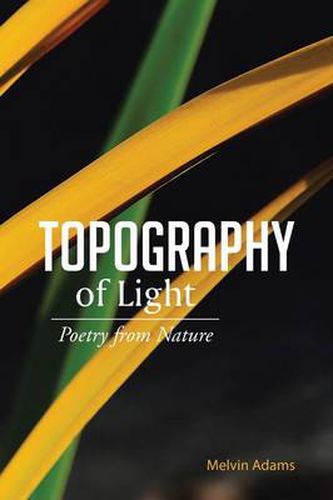 Cover image for Topography of Light