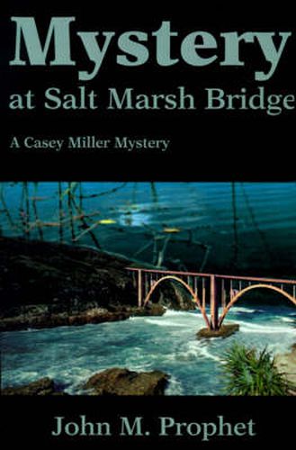 Cover image for Mystery at Salt Marsh Bridge