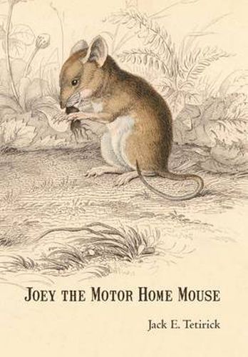 Cover image for Joey the Motor Home Mouse