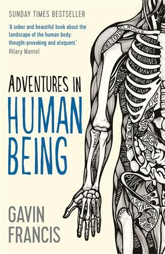 Cover image for Adventures in Human Being