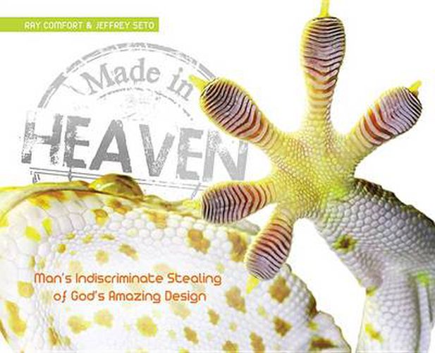 Cover image for Made in Heaven: Man's Indiscriminate Stealing of God's Amazing Design