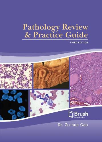 Cover image for Pathology Review and Practice Guide