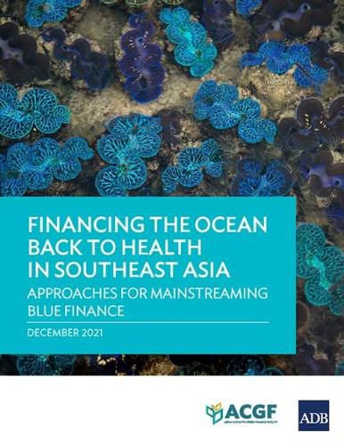 Cover image for Financing the Ocean Back to Health in Southeast Asia: Approaches for Mainstreaming Blue Finance