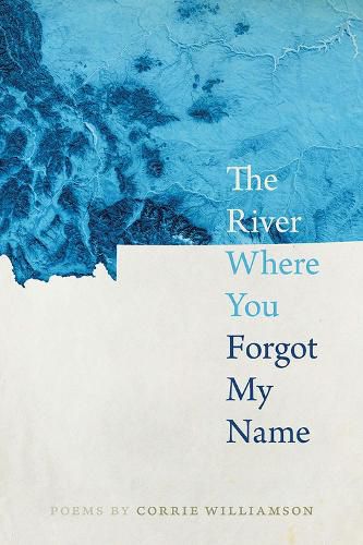 Cover image for The River Where You Forgot My Name